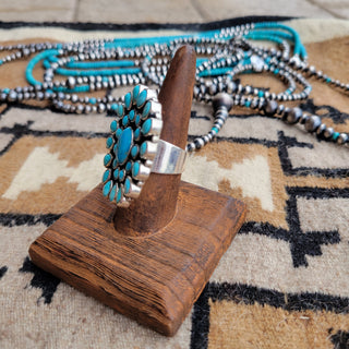 The Denise Cluster #2 - Sz 9