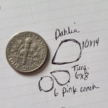 Load image into Gallery viewer, Custom Ear Pin