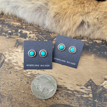 Load image into Gallery viewer, The Steele Studs