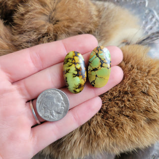 The Pawnee Earrings