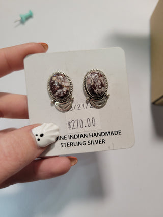 Donna - Wild Horse Studs