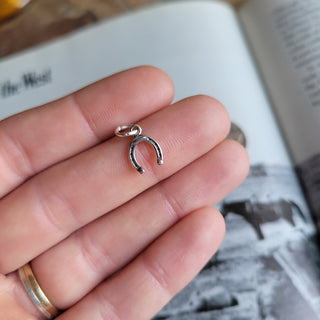 The Horseshoe Charm