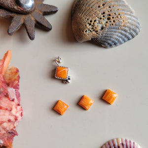 The Stewart Charm •Spiny • PRE-ORDER
