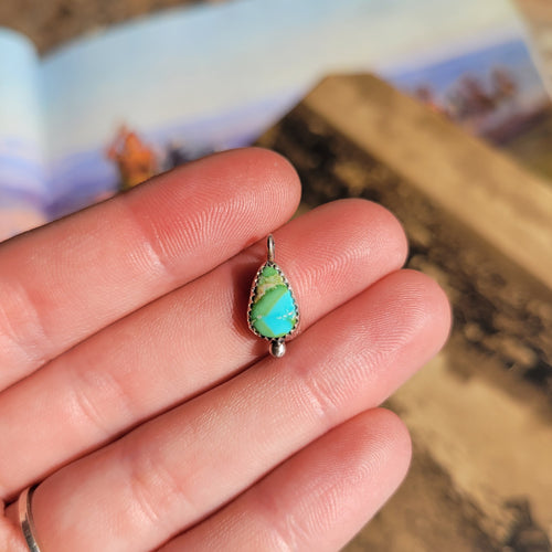 Sonoran Charm