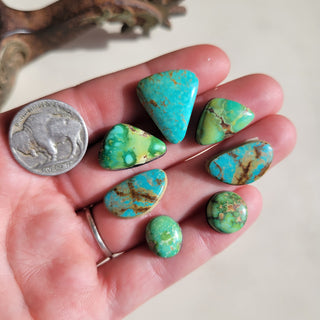 Naja Set