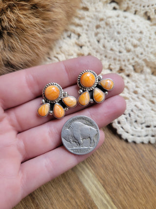 The Brady Cluster Studs - Spiny