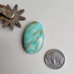 The Wyoming Cabochon