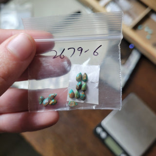 The Maisie Studs
