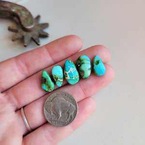 The Blue Bonnet Set - Sonoran