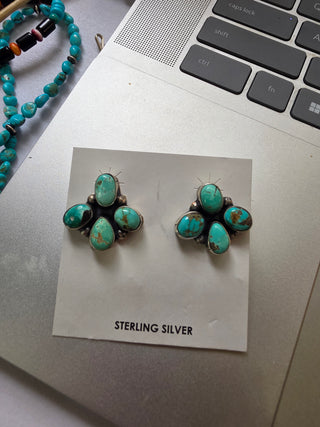 Bridgette - carico clusters
