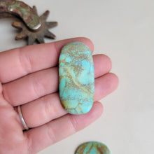 Load image into Gallery viewer, The Caily Cab Set of 5