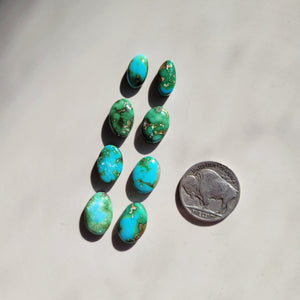 Sonoran Pairs x4