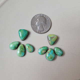 The Shelly Jacket Studs