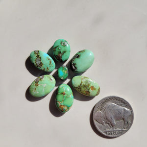 The Georgia Cluster - Sonoran