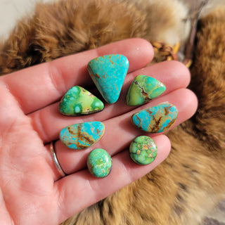 Naja Set