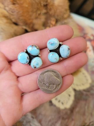 The Darla Kay Clusters - #1