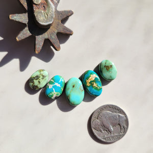 The Jazzlyn Set - Sonoran