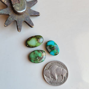 Sonoran Trio - D