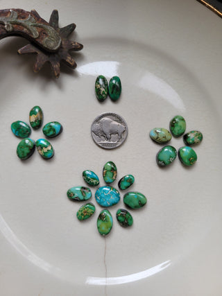 The Paisley Cluster Cab Set - Sonoran