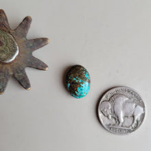Load image into Gallery viewer, The Danielle Cabochon