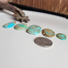 Load image into Gallery viewer, The Caily Cab Set of 5