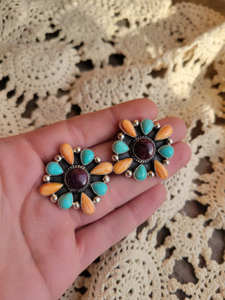 The Bronco Cluster Studs