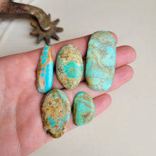 Load image into Gallery viewer, The Caily Cab Set of 5