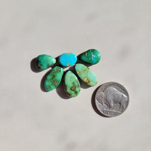 The Serena 1/2 Cluster - Sonoran