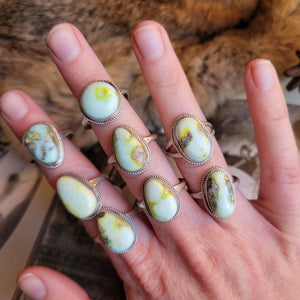 Palomino Rings