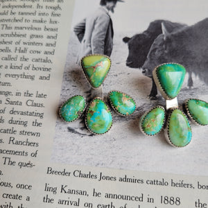 The Shelly Jacket Studs