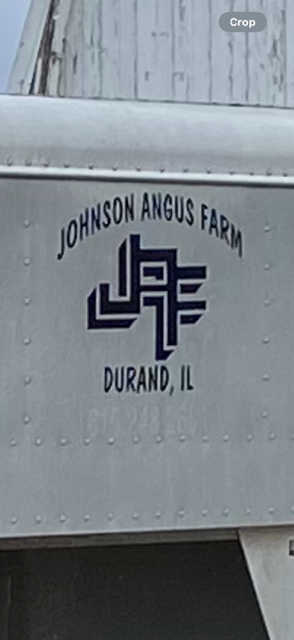 The Anna Charm Necklace