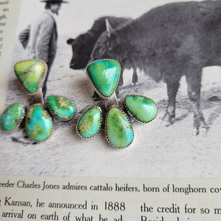 The Shelly Jacket Studs