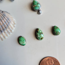 Load image into Gallery viewer, The Sage Charm • Sonoran • PRE-ORDER