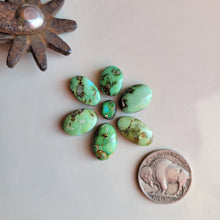 Load image into Gallery viewer, The Georgia Cluster - Sonoran