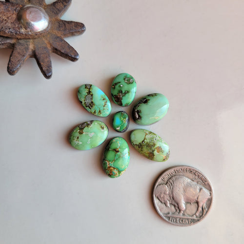 The Georgia Cluster - Sonoran