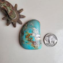 Load image into Gallery viewer, The Ponca Cabochon