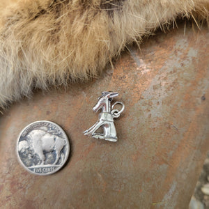 Donkey Charm