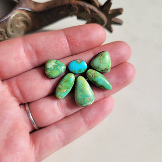 Sonoran Cluster