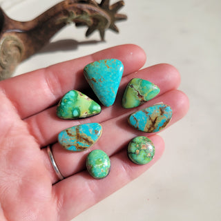 Naja Set