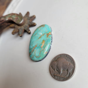 The Wyoming Cabochon