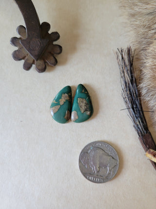 Kingman Turquoise Cab Pair