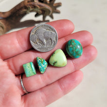Load image into Gallery viewer, Sonoran - Set of 4