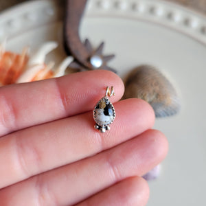 The Gus Charm • White Buffalo • PRE-ORDER