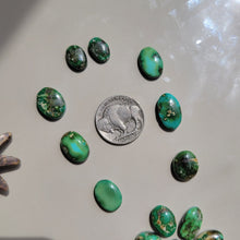 Load image into Gallery viewer, The Augusta Cluster Cab Set - Sonoran