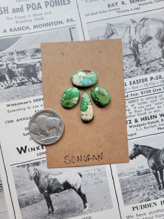 The Billie Cab Set - Sonoran