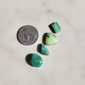 Sonoran - Set of 4