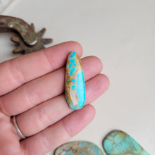 Load image into Gallery viewer, The Caily Cab Set of 5