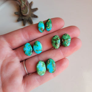 Sonoran Pairs x4