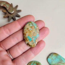 Load image into Gallery viewer, The Caily Cab Set of 5