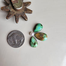 Load image into Gallery viewer, The Aspen Cluster Cab Set - Sonoran &amp; Pearl